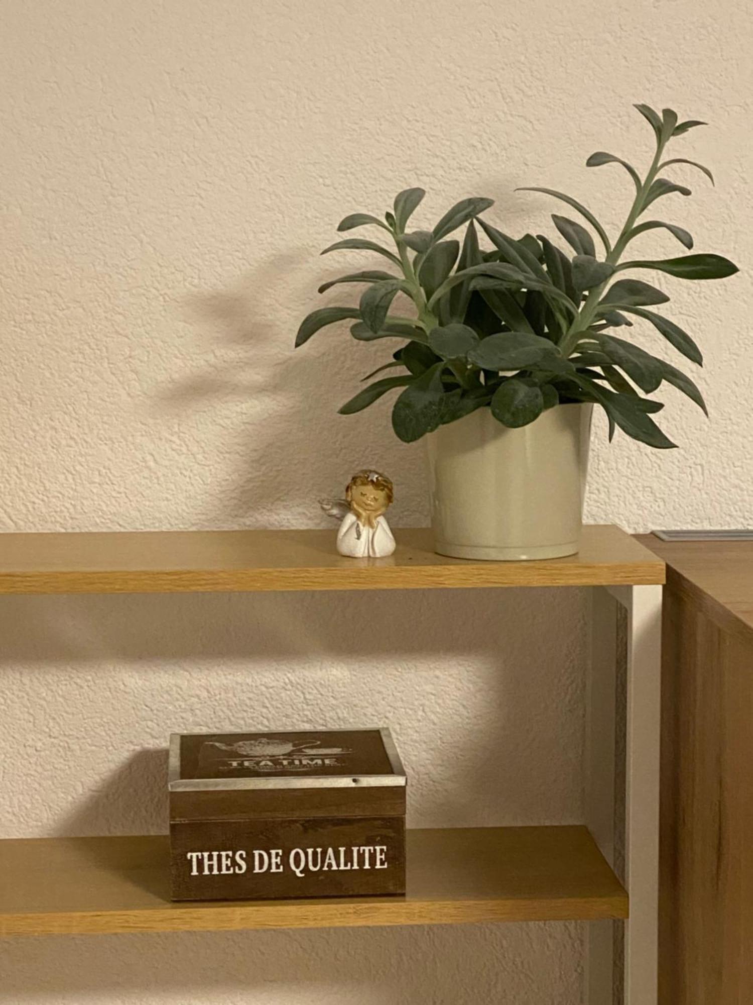 2 Zimmer Ferienunterkunft Gemeinsame Zeit Appenweier Buitenkant foto